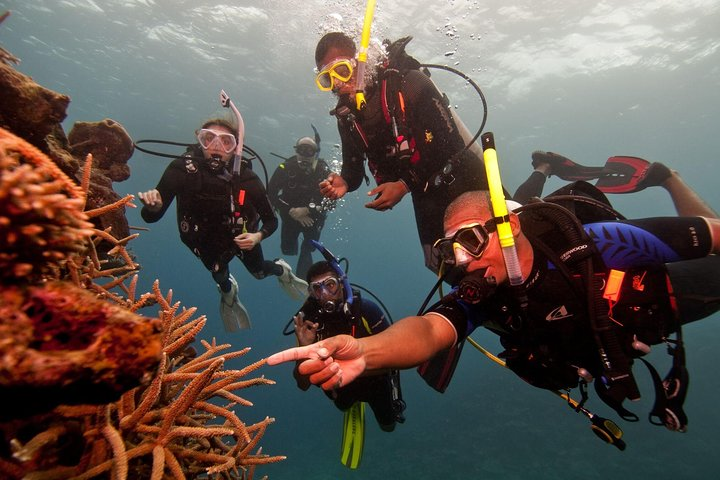 Scuba Diving For Beginners - Photo 1 of 15